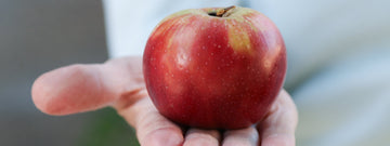 "Vinagre de manzana sin filtrar para salud intestinal