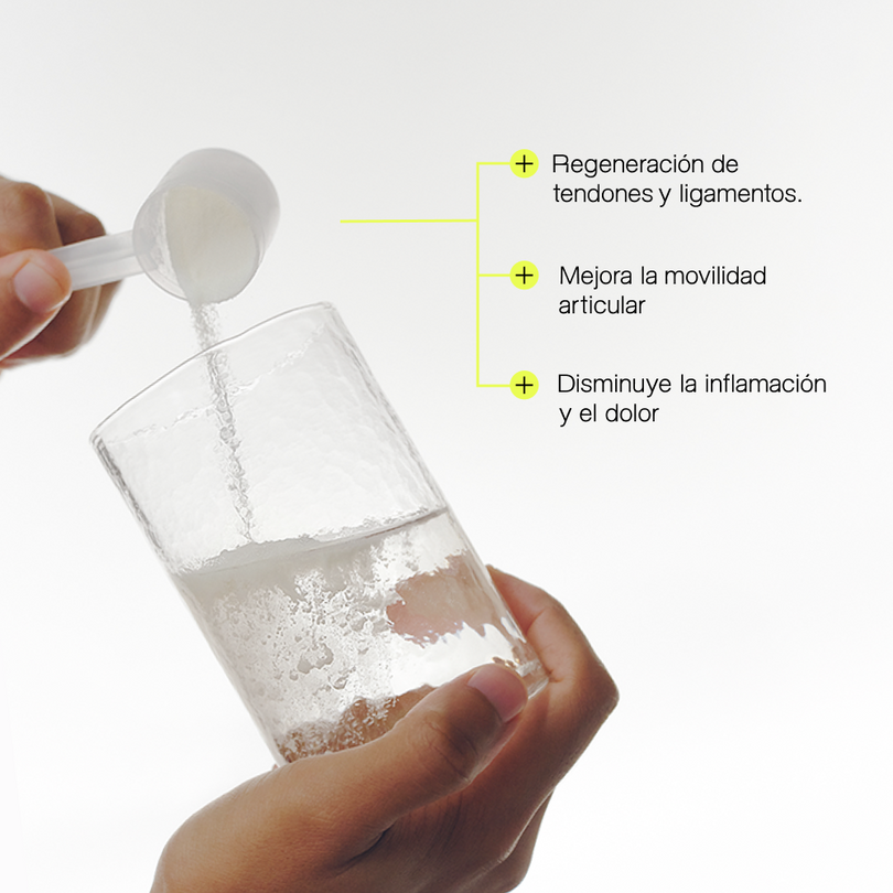 Bone Broth Premium Protein | Energía & Movimiento | Gud