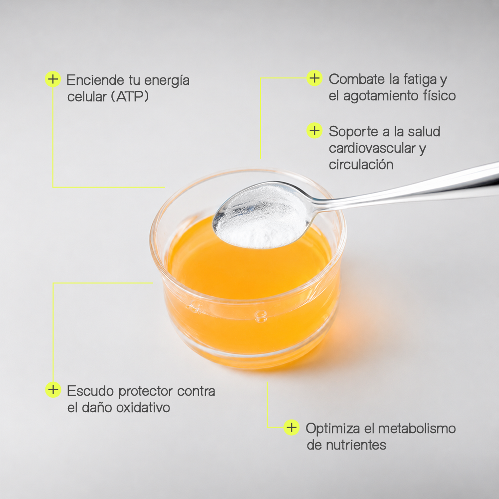 L-carnitine + L-arginine + CoQ10 + Vitamins + Minerals
